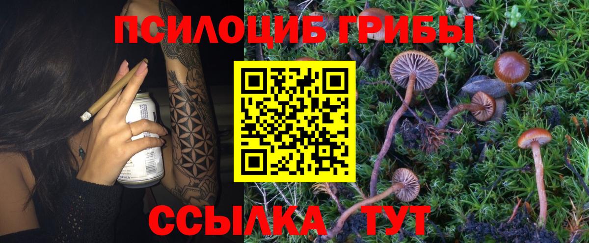 Галлюциногенные грибы Magic Shrooms Тихорецк
