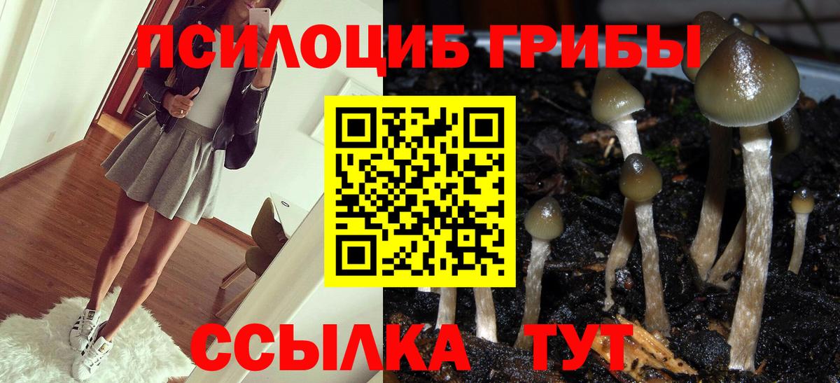 Тихорецк  Псилоцибиновые грибы MAGIC MUSHROOMS  Вход с VPN  Псилоцибиновые грибы мухоморы 