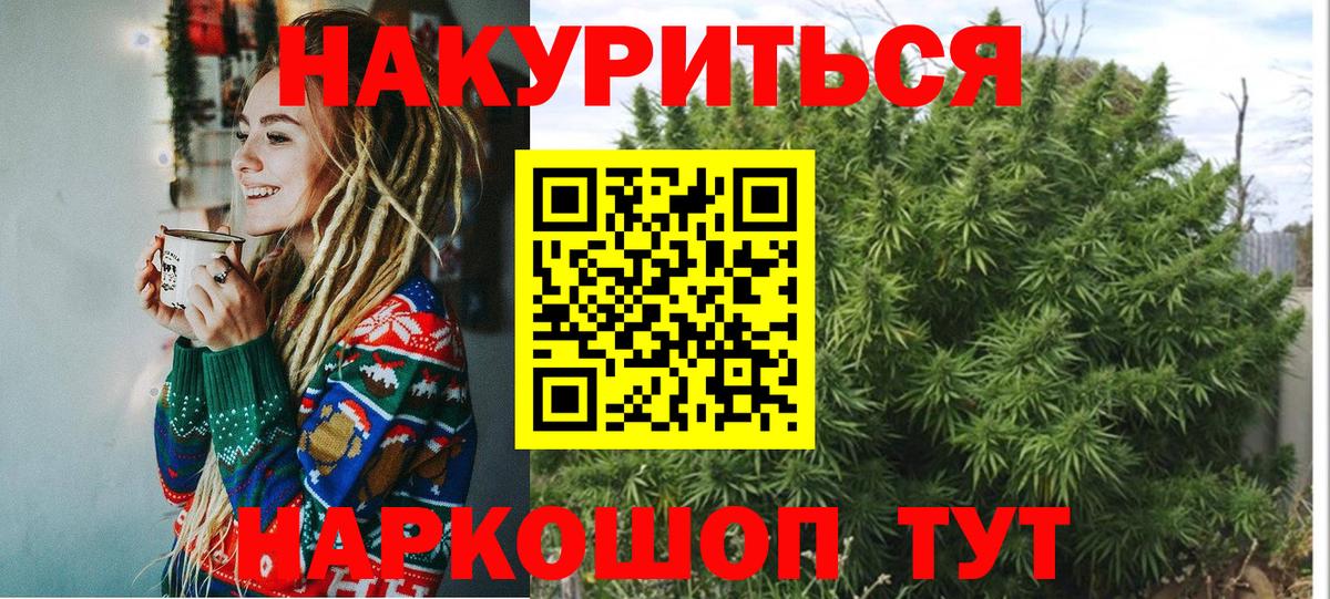 Конопля сатива Тихорецк